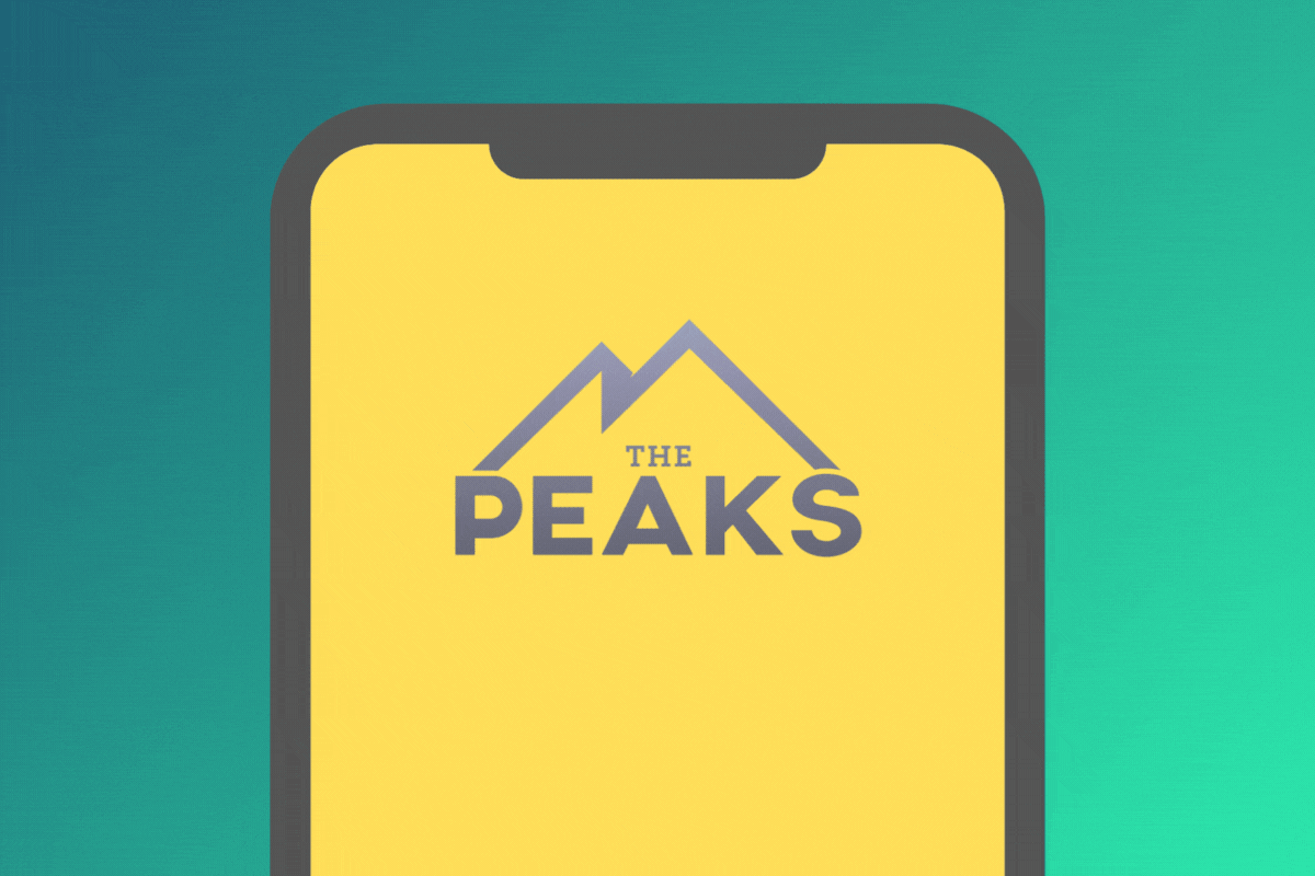 Branded guest WiFi login portal customization